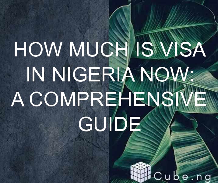 How Much Is Visa In Nigeria Now: A Comprehensive Guide