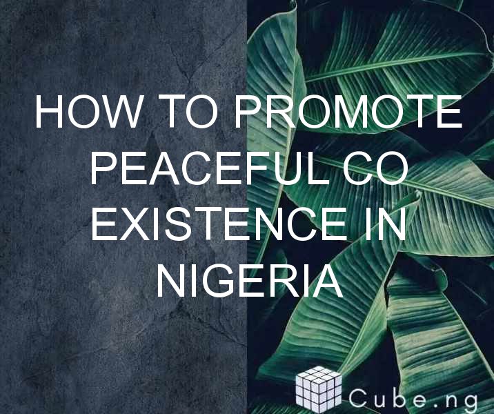 essay on culture and peaceful co existence in nigeria