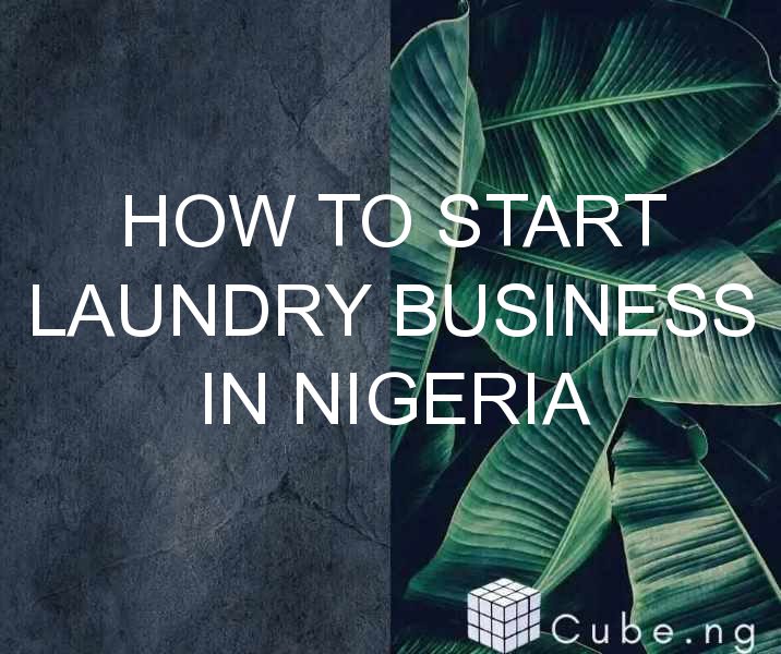 business plan for laundry business in nigeria