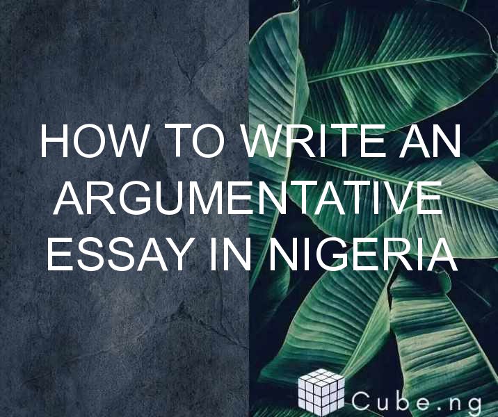 how to start an argumentative essay in nigeria